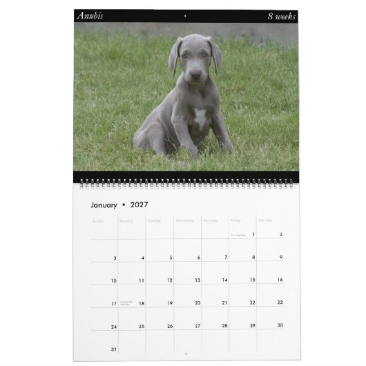 Hundekalender Kalender (Jan 2027)