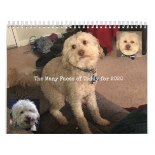 Hundekalender Kalender