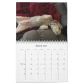 Hundekalender Kalender (Mär 2027)