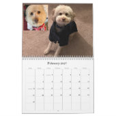 Hundekalender Kalender (Feb 2027)