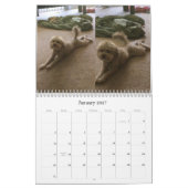 Hundekalender Kalender (Jan 2027)
