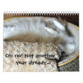 Hundekalender Kalender (Titelbild)