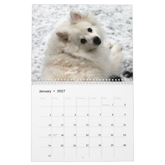 Hundekalender Kalender (Jan 2027)