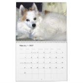 Hundekalender Kalender (Feb 2027)