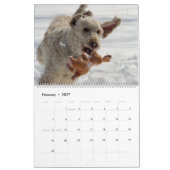 Hundekalender Kalender (Feb 2027)