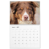 Hundekalender Kalender (Mär 2027)