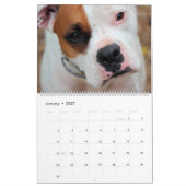 Hundekalender Kalender (Jan 2027)