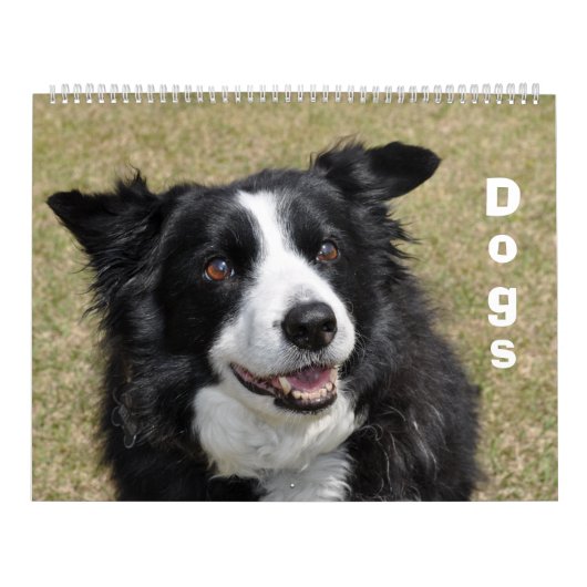 Hundekalender Kalender (Titelbild)