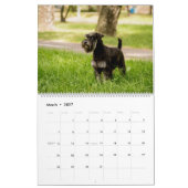 Hundekalender mit unterschiedlicher Rasse pro Mona Kalender (Mär 2027)