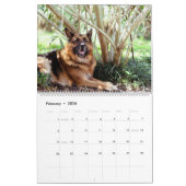 Hundekalender mit unterschiedlicher Rasse pro Mona Kalender (Feb 2026)