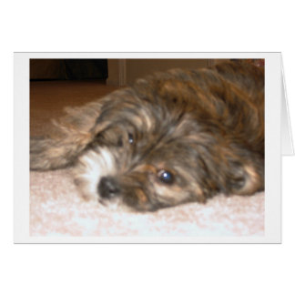 Hundekarte