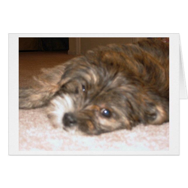 Hundekarte (Vorderseite (Horizontal))