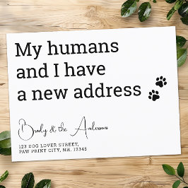 Hundekatze für Haustiere Wir haben eine neue Adres