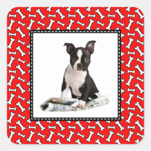 Hundeknochen-Weihnachtsroter Foto-Rahmen für Quadratischer Aufkleber