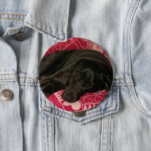 Hundeknopf Button (Beispiel)