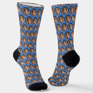Hundekopf Gesichtsfoto auf Blau Socken