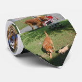 HundeKrawatte Krawatte (Gerollt)