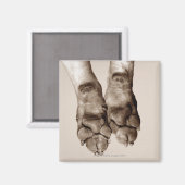 Hundekuchen Magnet (Vorderseite/Rückseite)