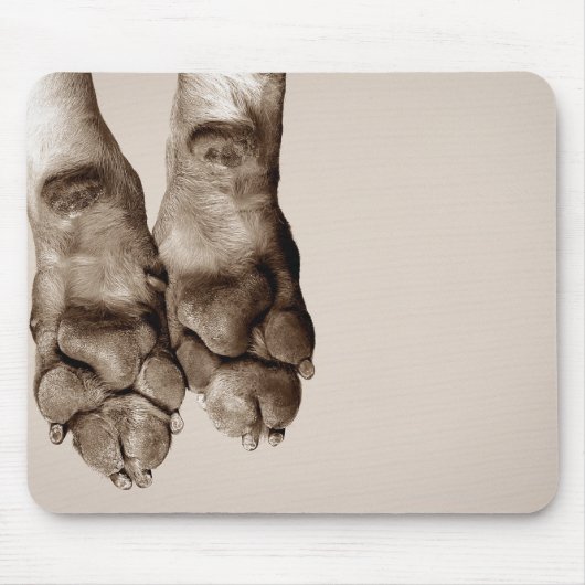 Hundekuchen Mousepad (Vorne)