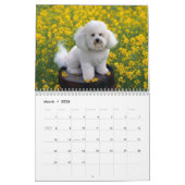 Hundekundengerechter Kalender (Mär 2026)
