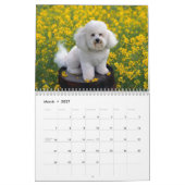 Hundekundengerechter Kalender (Mär 2027)