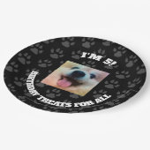 Hundekundenspezifischer Pappteller (Schrägansicht)