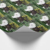 Hundekunst-alte englische Schäferhunde Geschenkpapier (Ecke)