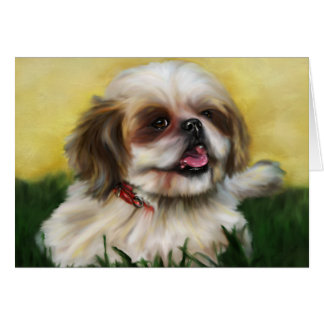 Hundekunst Shih Tzu - Sophie