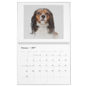 Hundekunstkalender Kalender (Feb 2027)