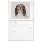Hundekunstkalender Kalender (Feb 2026)