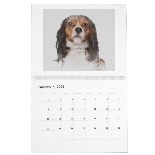 Hundekunstkalender Kalender (Feb 2026)