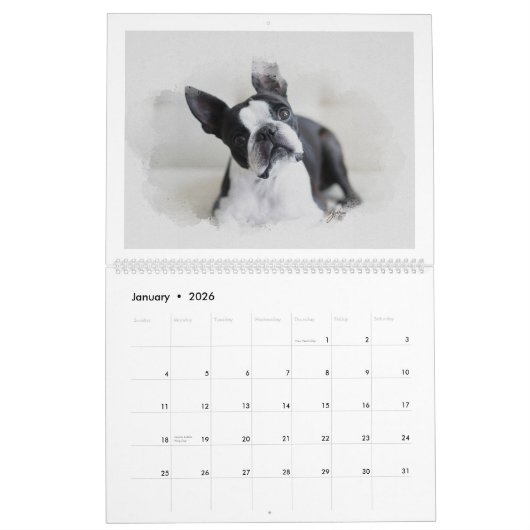 Hundekunstkalender Kalender (Jan 2026)
