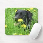 HUNDElabrador retriever-SCHWARZES Mousepad (Mit Mouse)
