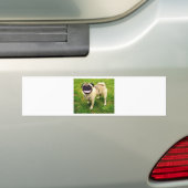 Hundelächeln-Mops niedlich Autoaufkleber (Auf Auto)
