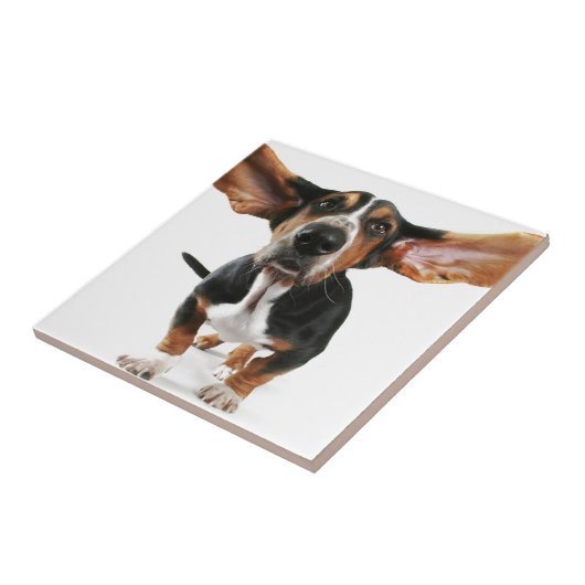 Hundelange Ohren Fliese (Seite)