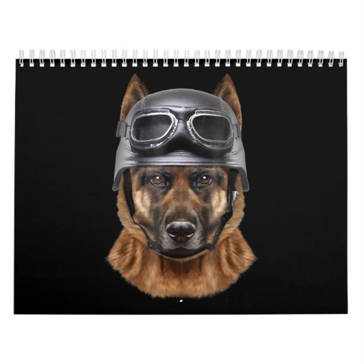 Hundelhund-Helm-Geschenk für Fahrradfahrer Kalender (Titelbild)