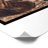 Hundeliebhaber 4 Foto Collage personalisiert Poster (Ecke)