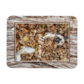 Hundeltier mit modernem Foto witzig Magnet (Horizontal)