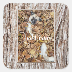 Hundeltier mit modernem Foto witzig Quadratischer Aufkleber