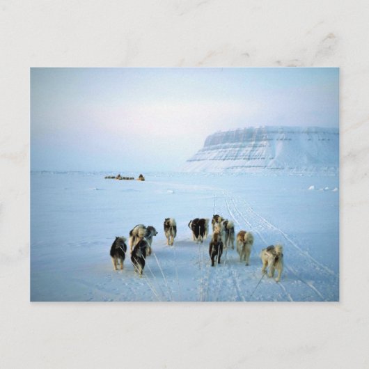 Hundemannschaften, Devon Island, Nordwestgebiete Postkarte (Vorderseite)
