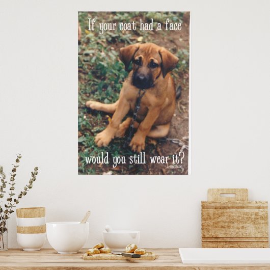 Hundemantel Poster (Küche)