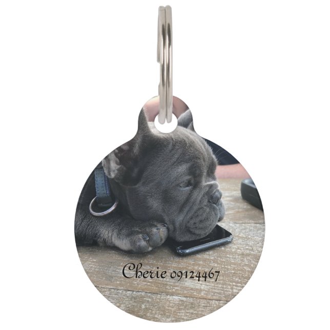 Hundemarke Haustiermarke (Vorderseite)