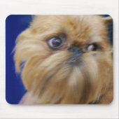 Hundemausunterlage Brüssels Griffon Mousepad (Vorne)