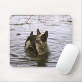 Hundemausunterlage Queenslands Heeler Mousepad (Mit Mouse)