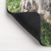 Hundemausunterlage Yorks Terrier Mousepad (Ecke)