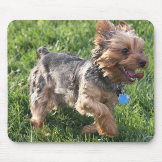 Hundemausunterlage Yorks Terrier Mousepad (Vorne)