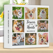 Hundemeldung für immer in unserem Foto für das Her