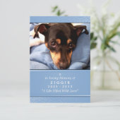 Hundememorialkarte 3.5" x 5" - hellblaues Foto Einladung (Stehend Vorderseite)