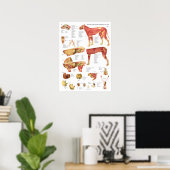 Hundemuskeln Innere Anatomie Chart Poster (Heimbüro)