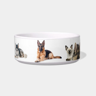 Hundemuster Napf